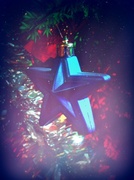 4th Dec 2013 - Blue Star