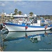 Agia Napa Harbour,Cyprus by carolmw