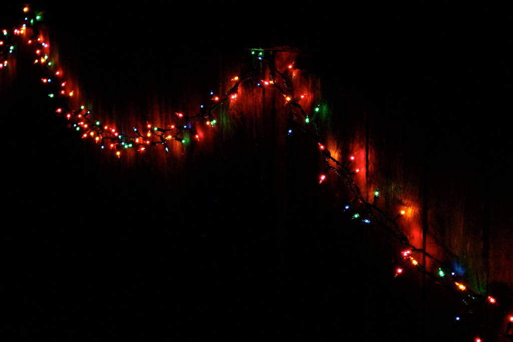 Fence-y Lights by princessleia