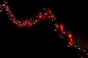 4th Dec 2013 - Fence-y Lights