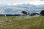 5th Dec 2013 - Storm clouds and sprinklers
