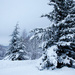 Winter Landscape by elisasaeter
