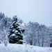 Winter Landscape 2 by elisasaeter