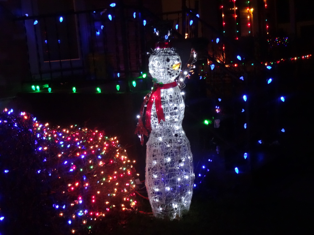 Day 184 Snowman in Lights by rminer
