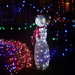 Day 184 Snowman in Lights by rminer
