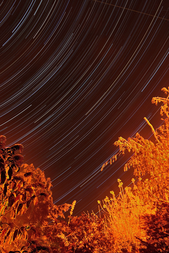 Star Trails by richardcreese