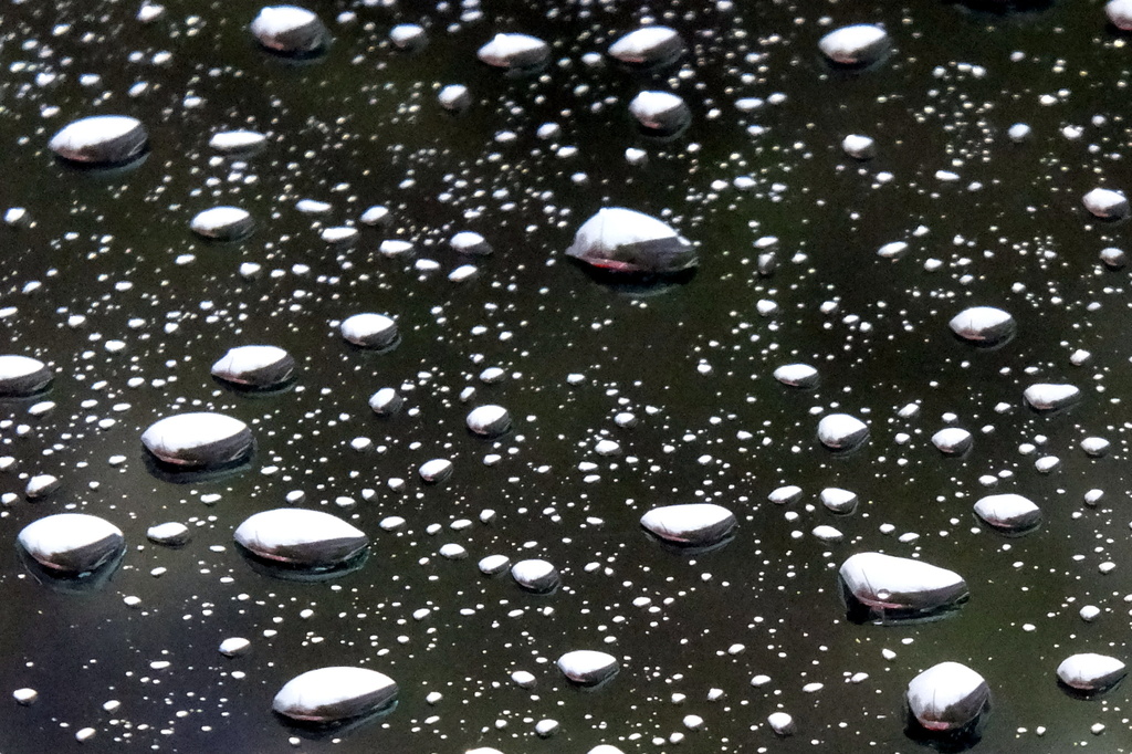 Rain Reflection by linnypinny