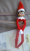 3rd Dec 2013 - Elf on the Shelf