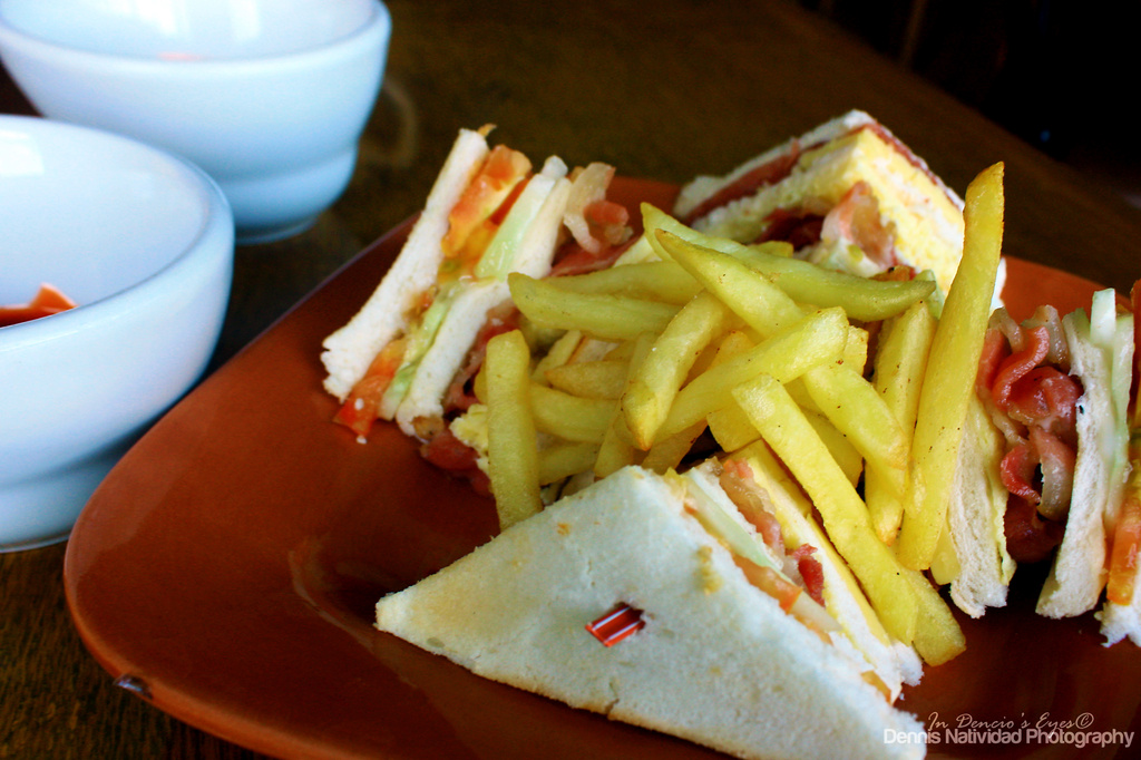 Clubhouse Sandwich with Fries by iamdencio