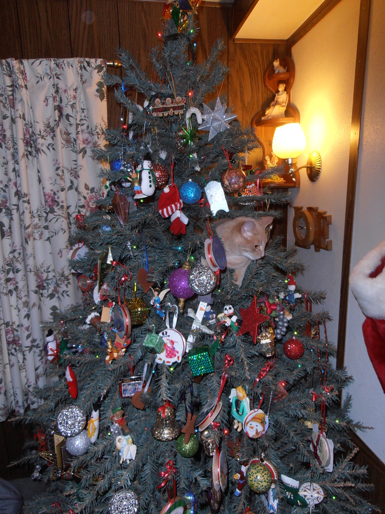 Cat Ornament by julie