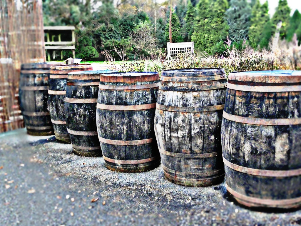Roll out the barrels !! by beryl