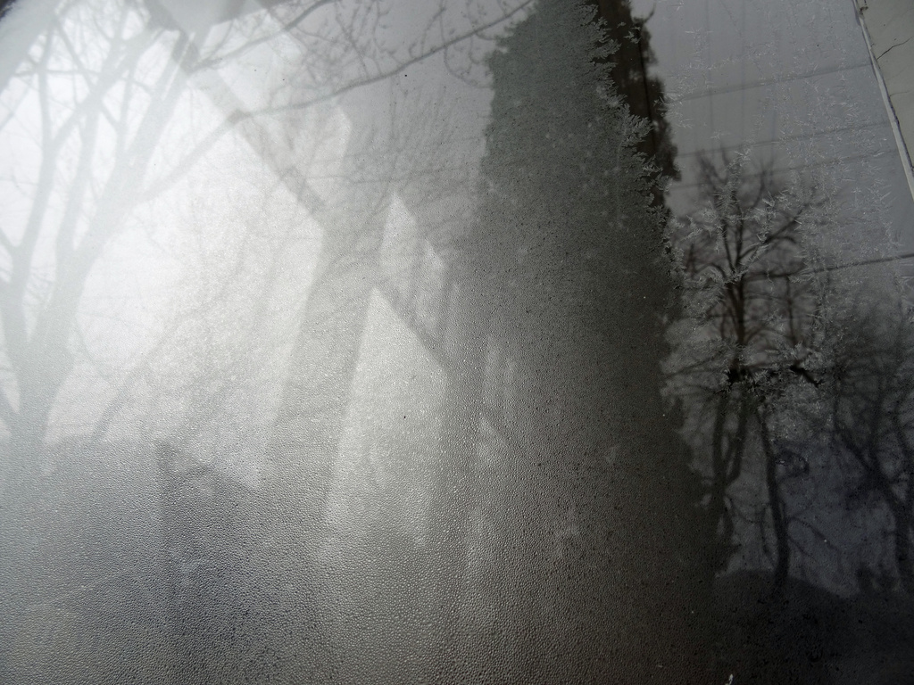 Day 185 Frost on a Windowpane by rminer