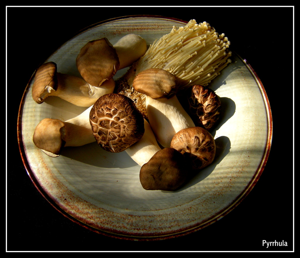 A still life with mushrooms by pyrrhula