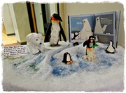7th Dec 2013 - Penguins and Polar Bears