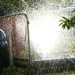 Garden showers by kiwinanna