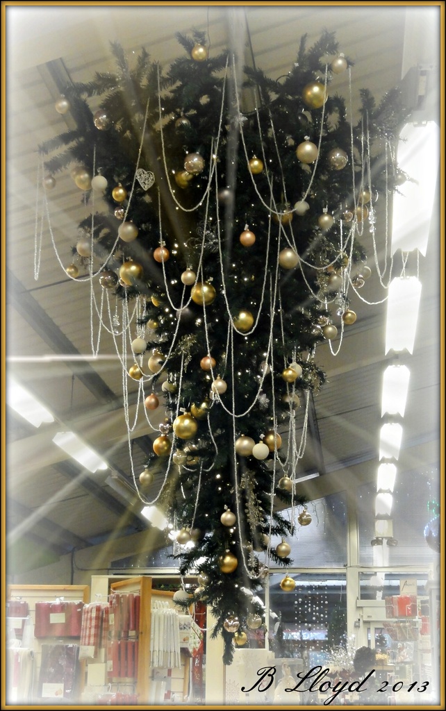 Oh ! Christmas tree , Oh ! Christmas tree ---- by beryl