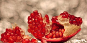 7th Dec 2013 - Pomegranate