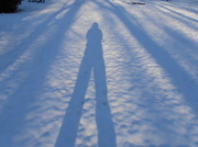 3rd Dec 2013 - Snow Shadow