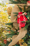 7th Dec 2013 - Gardener's Christmas Tree Decoration