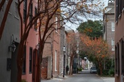 7th Dec 2013 - One of the oldest sections of historic Charleston, SC
