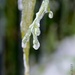 Frozen by lynne5477