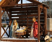 8th Dec 2013 - Nativity scene