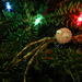 Christmas Spider by darylo