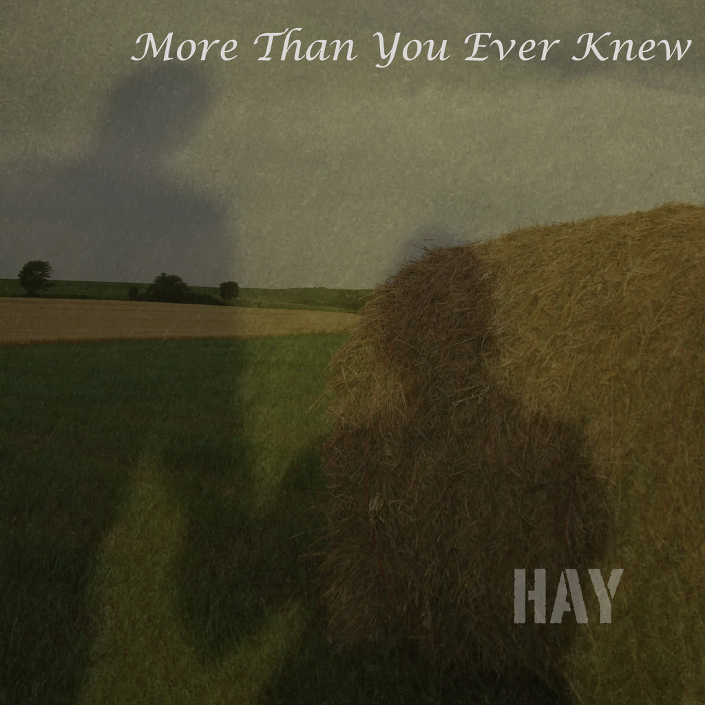 More Than You Ever Knew by mcsiegle