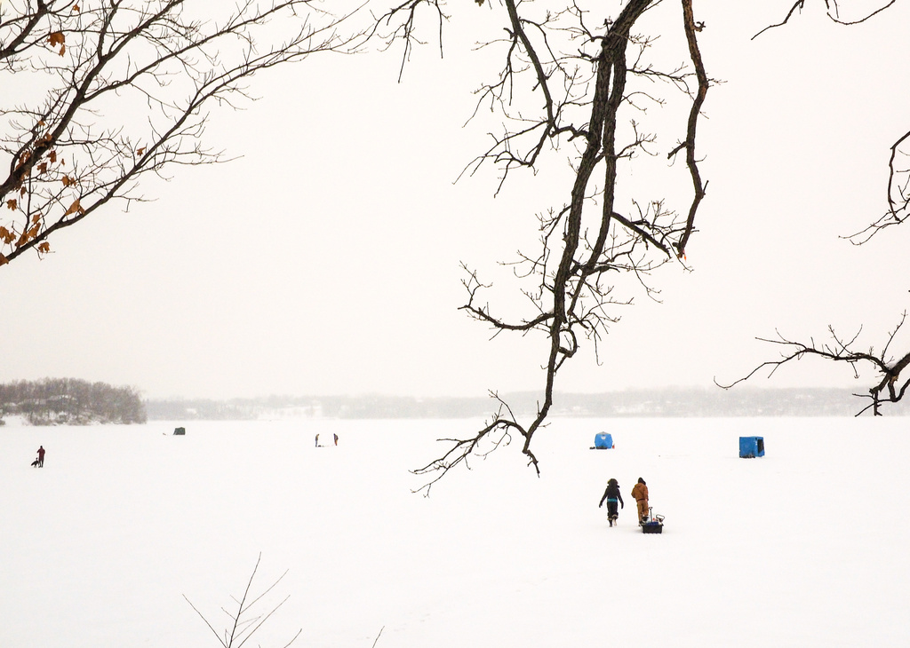 Winter Scene at the Lake by tosee
