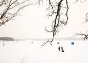 8th Dec 2013 - Winter Scene at the Lake