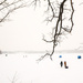 Winter Scene at the Lake by tosee