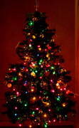 8th Dec 2013 - My Christmas Tree