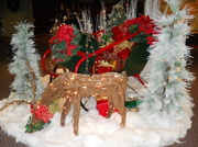 7th Dec 2013 - Christmas decoration at church