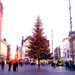 Christmas tree on market place  by cocobella