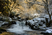 9th Dec 2013 - Winter Light At Sweet Creek Falls