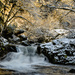 Winter Light At Sweet Creek Falls by jgpittenger