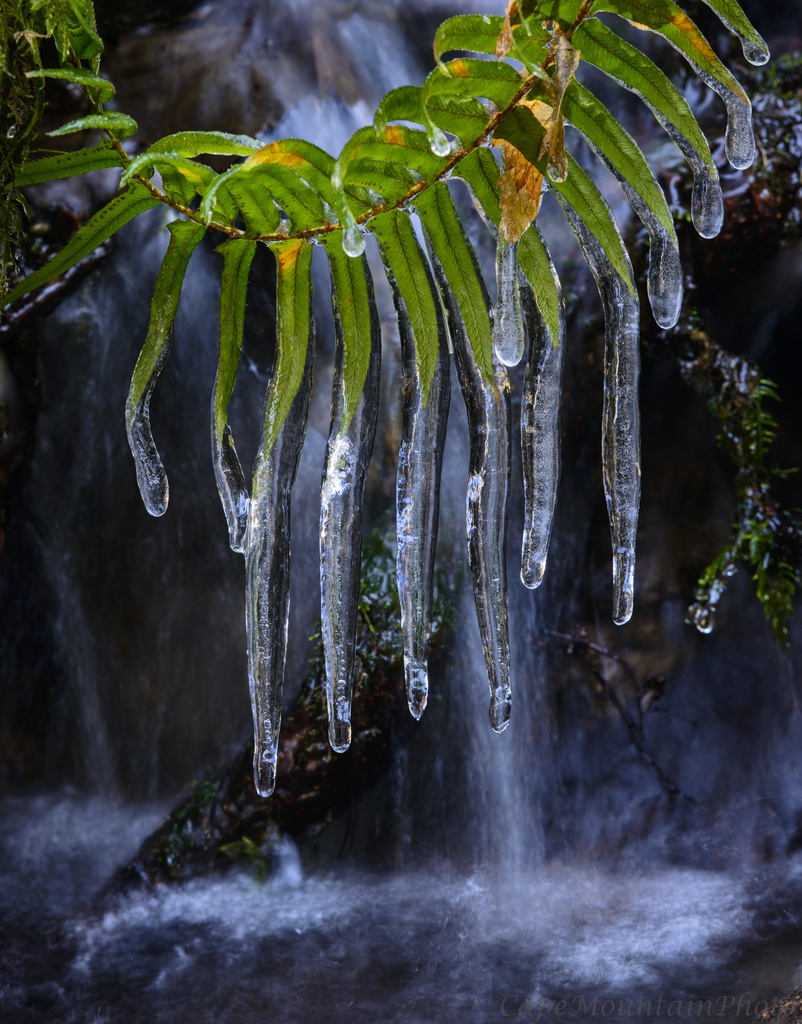 Icicle Falls  by jgpittenger