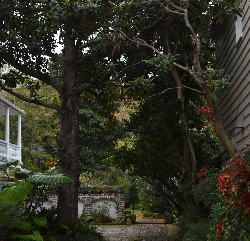 Garden, historic district, Charleston, SC by congaree