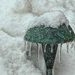 Frozen Mushroom by lstasel