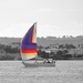 Sailing by joysfocus