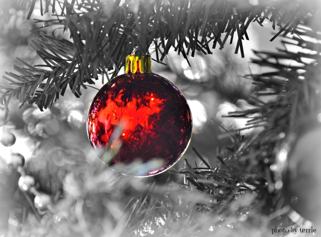 Big Red Baubles by teodw