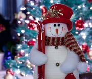 10th Dec 2013 - 10th December 2013 - Frosty the Snowman
