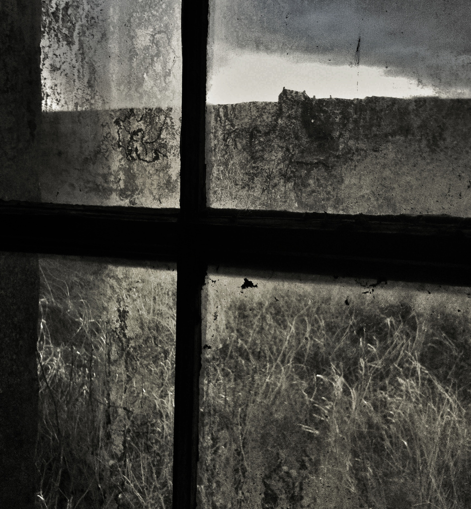 dirty window and weeds by ingrid2101