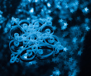 10th Dec 2013 - Quilled snowflake