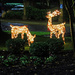 Holiday Deer by hjbenson