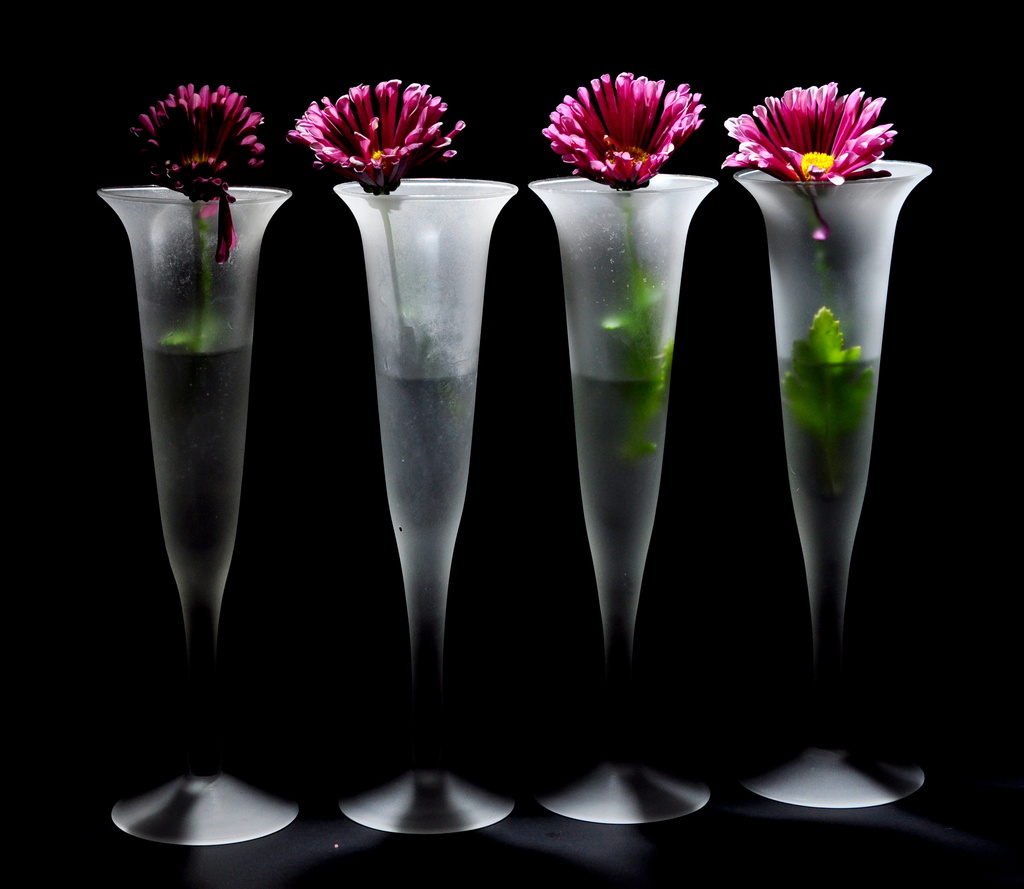 Petals in glass by jayberg