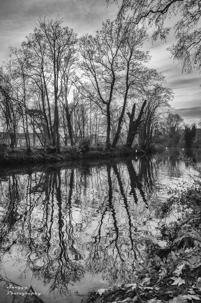 Day 345 - Avon Reflections by snaggy
