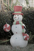 12th Dec 2013 - Frosty the Plastic Man