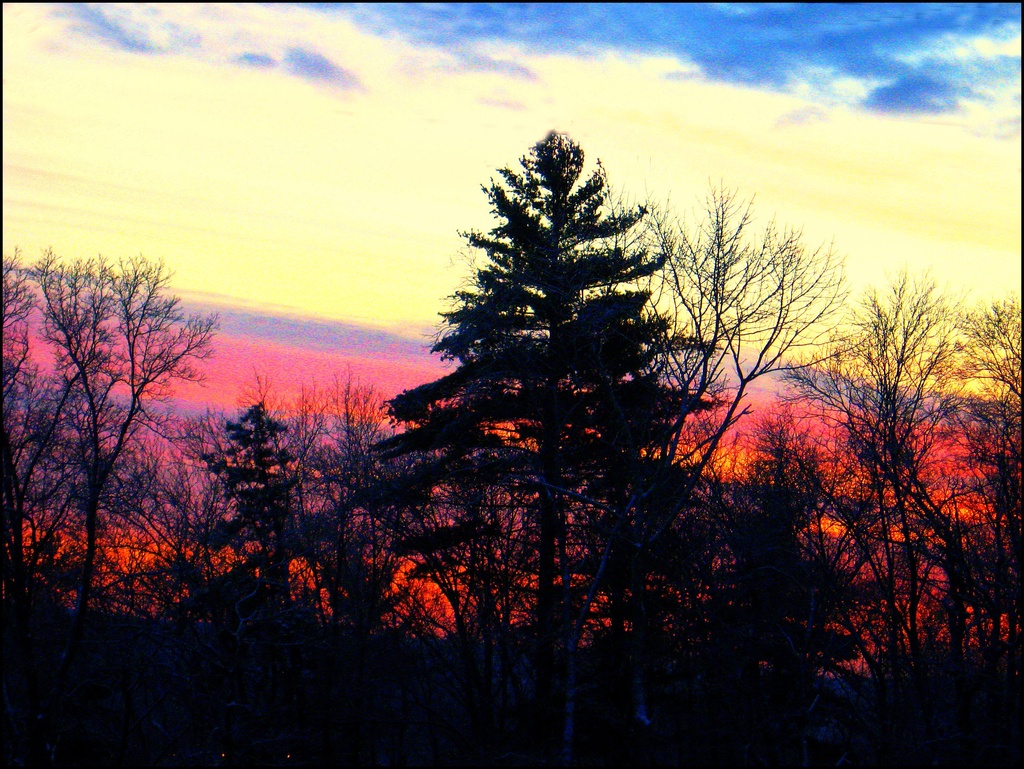 Sunset on December 11th by olivetreeann