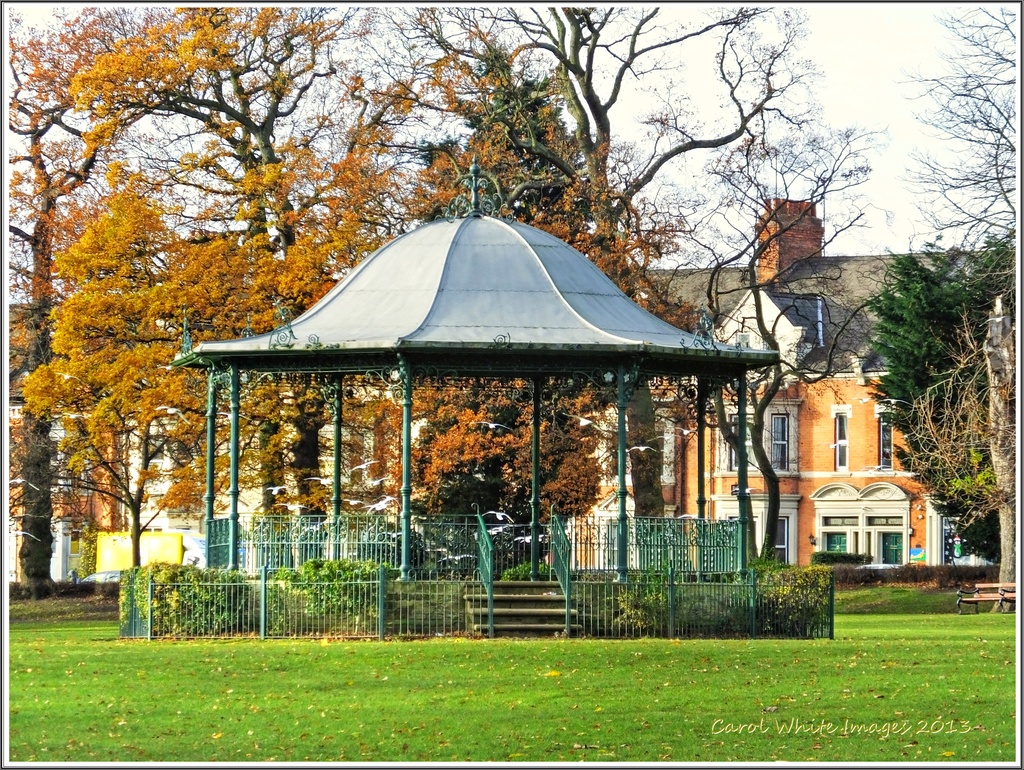 The Bandstand,Abington Park,Northampton by carolmw